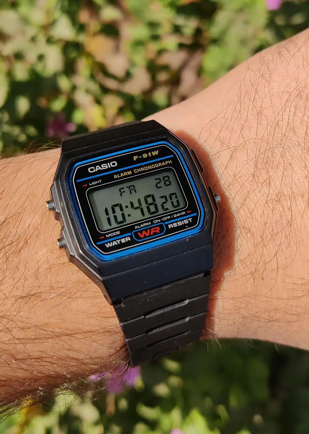 Casio F91W vs A158W: Differences Explained-2