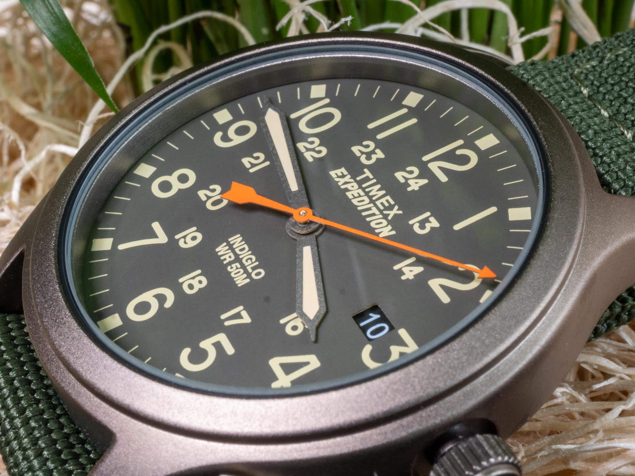 Expedition scout midsize on sale 36mm leather strap watch