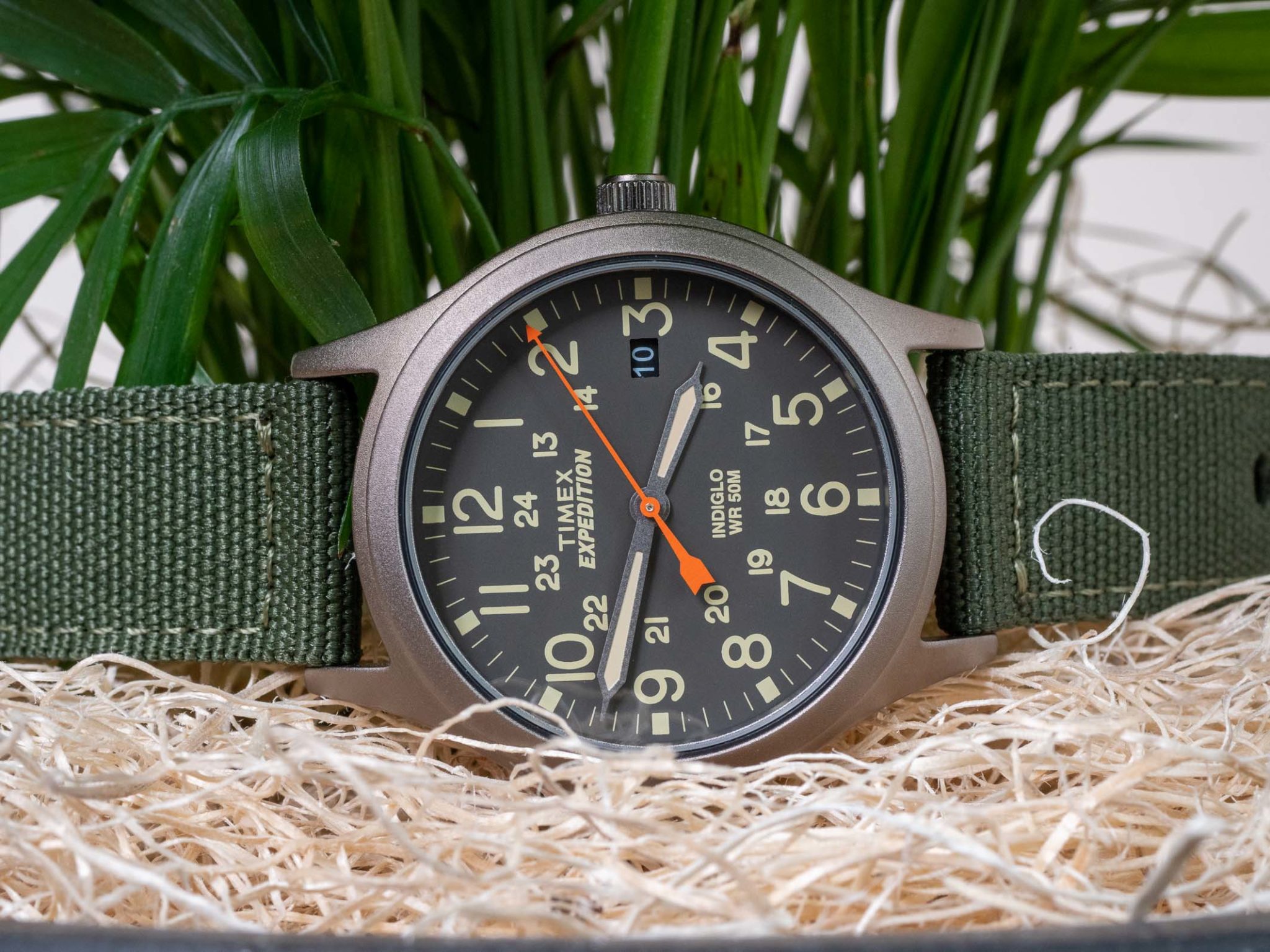 Timex Expedition Scout 36mm Review: Retro On a Budget • The Slender Wrist