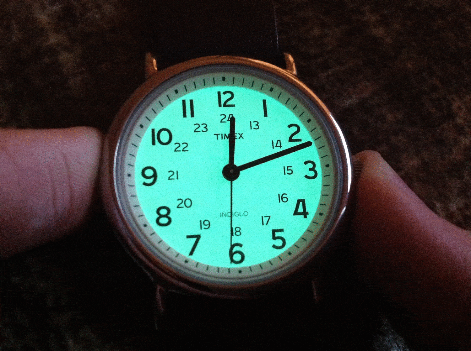 Timex Weekender Indiglo