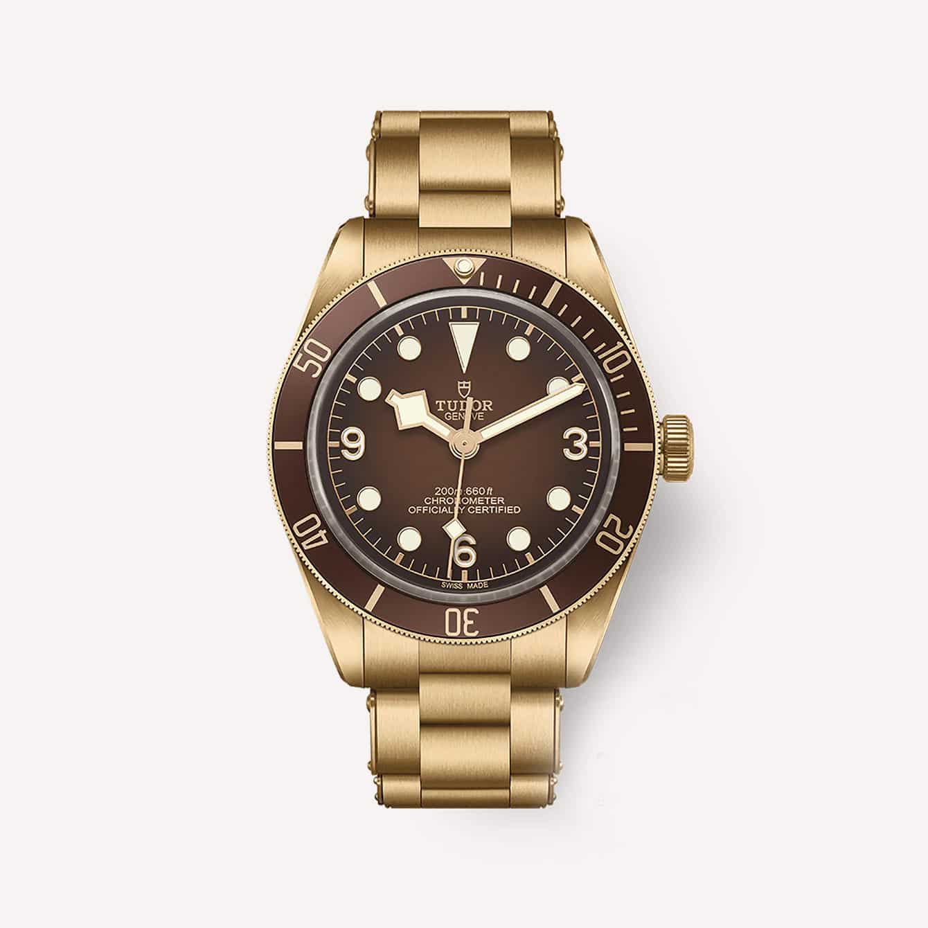 The 10 Best Tudor Watches (According to Experts)-7