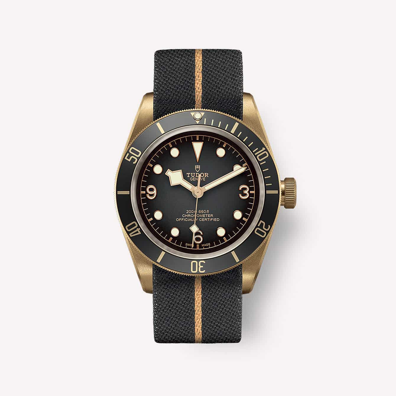 The 10 Best Tudor Watches (According to Experts)-5
