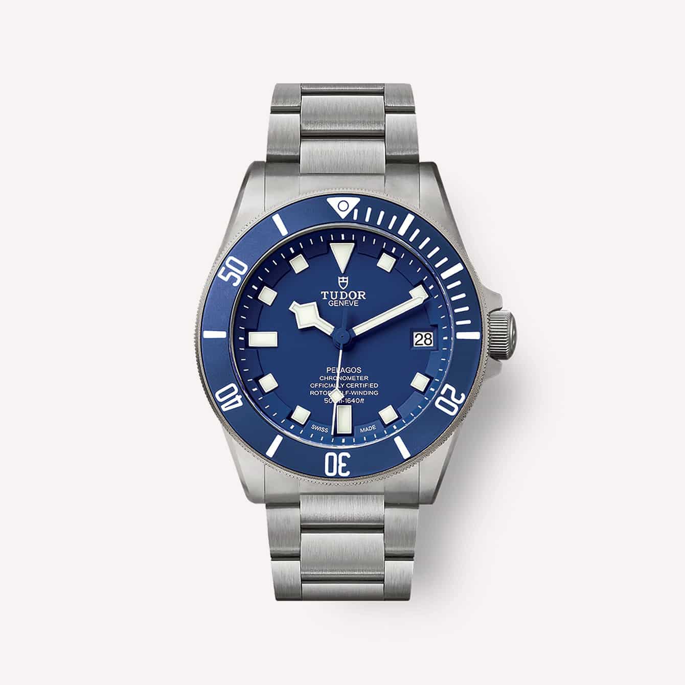 The 10 Best Tudor Watches (According to Experts)-10