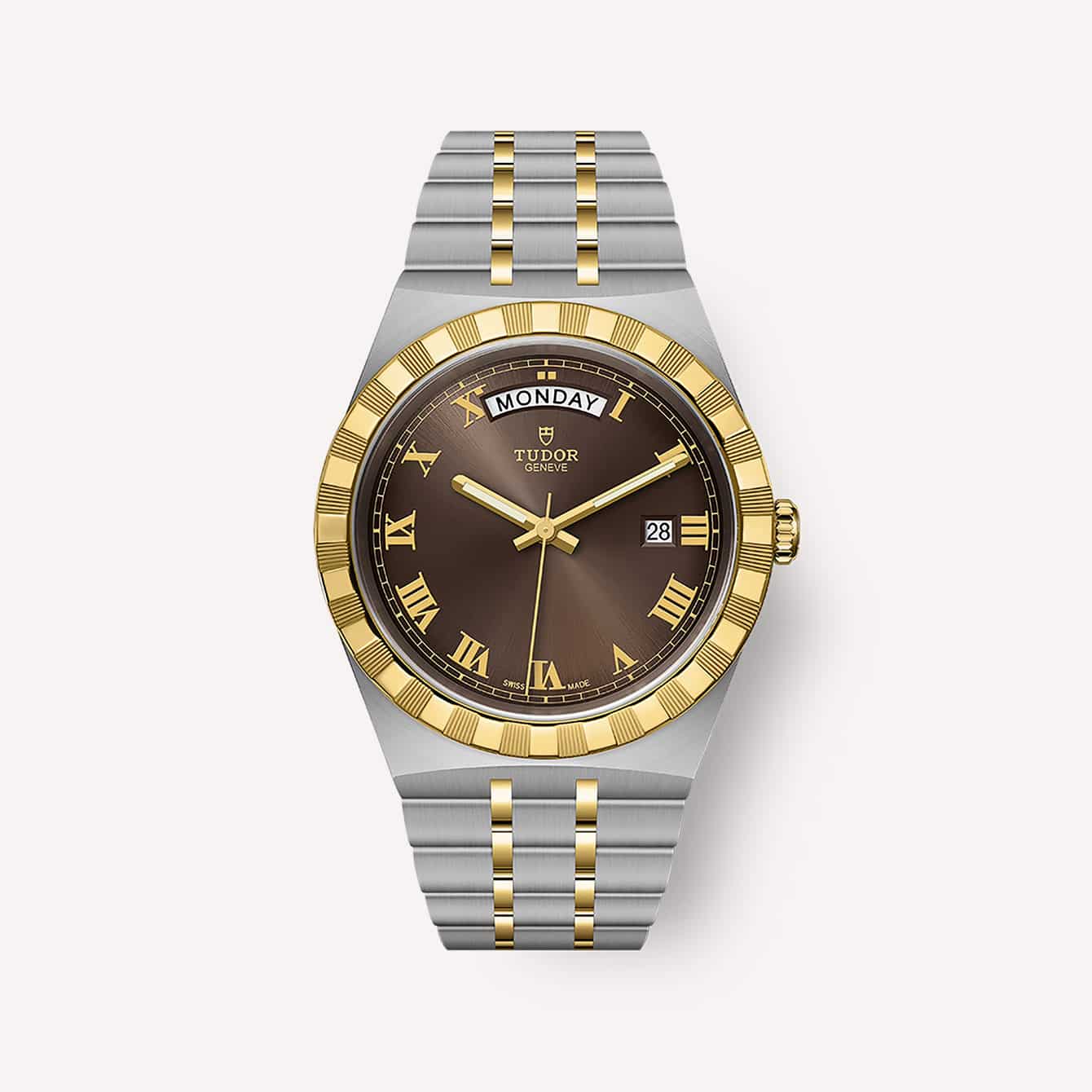 The 10 Best Tudor Watches (According to Experts)-6