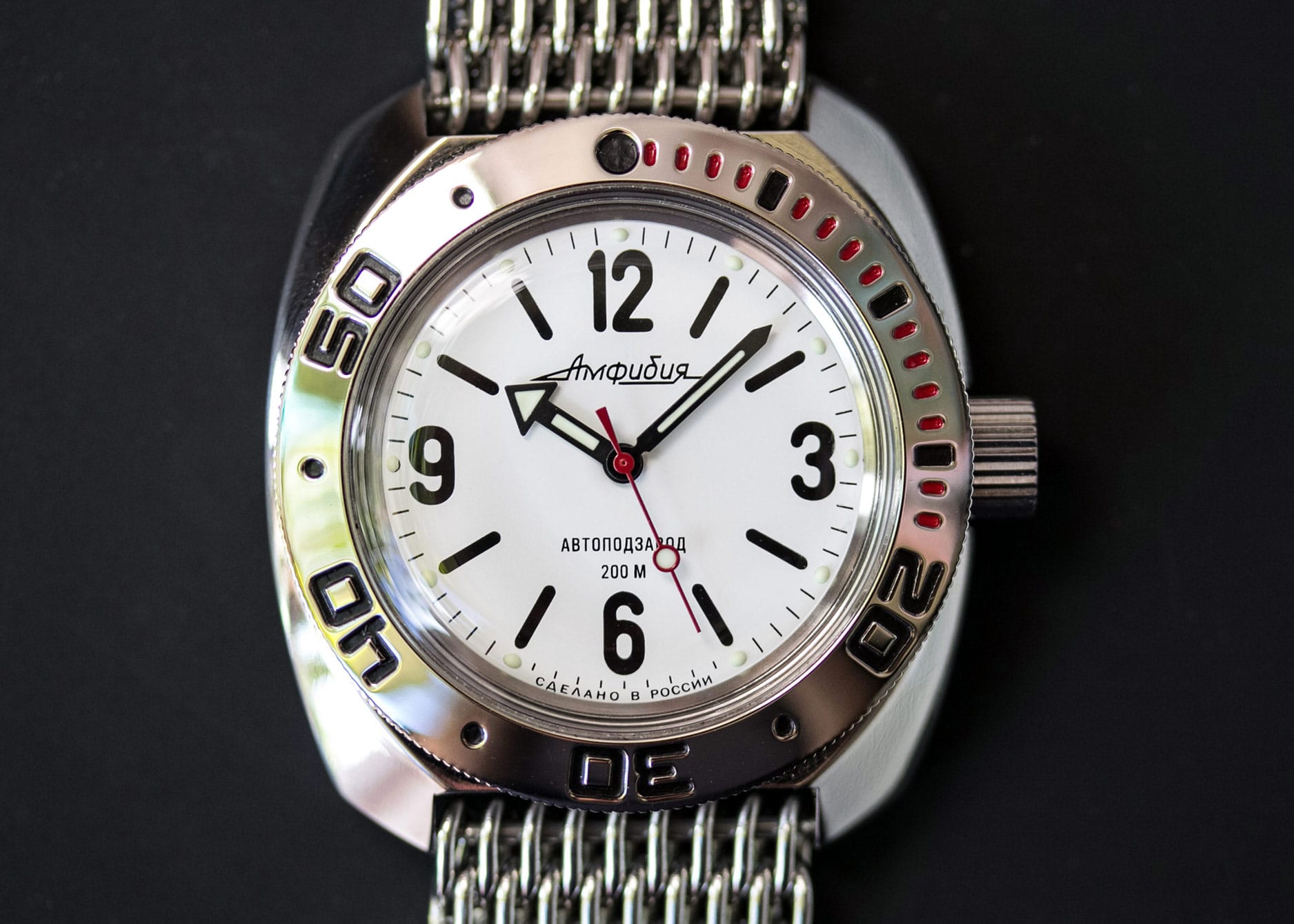 Vostok Amphibia gros plan