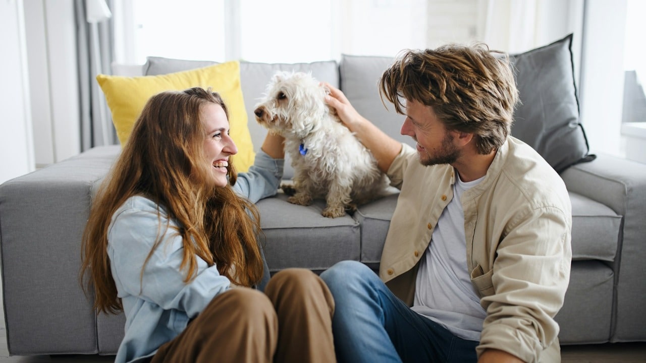 A couple playing with a dog while smiling at each other and talking.
