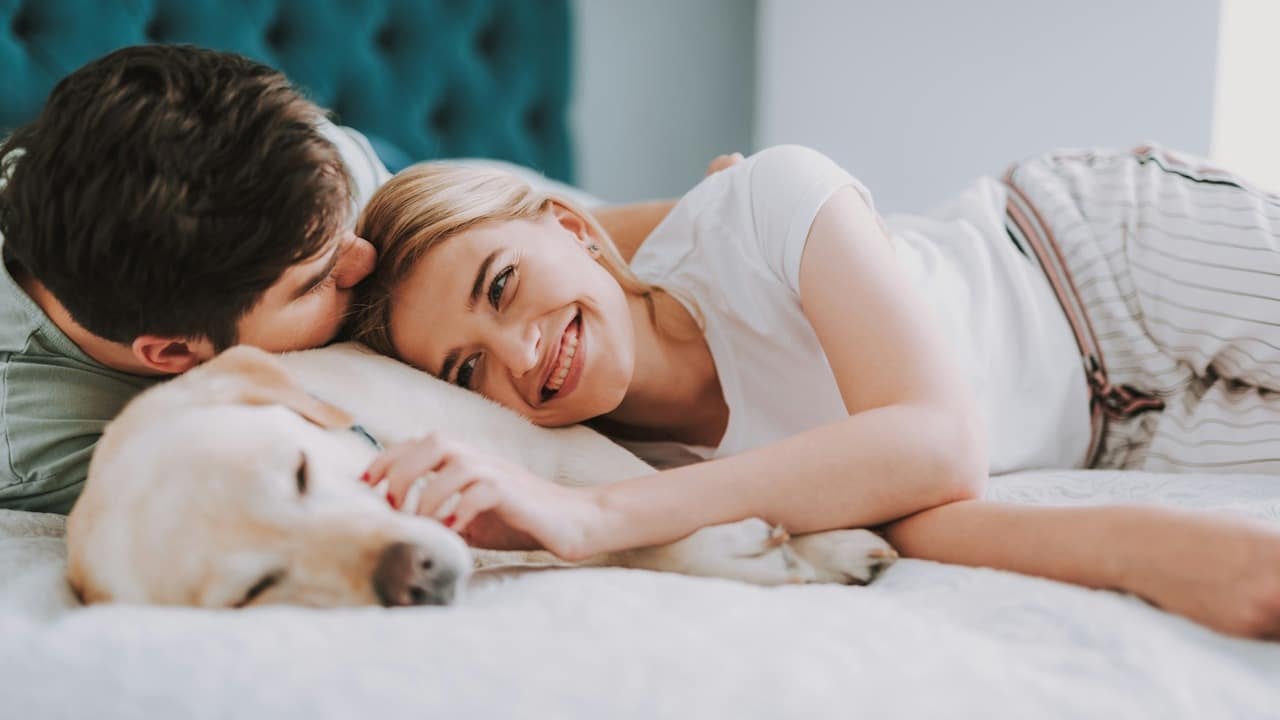 A couple lying in bed with their dog, with the man kissing the woman's forehead as she smiles.
