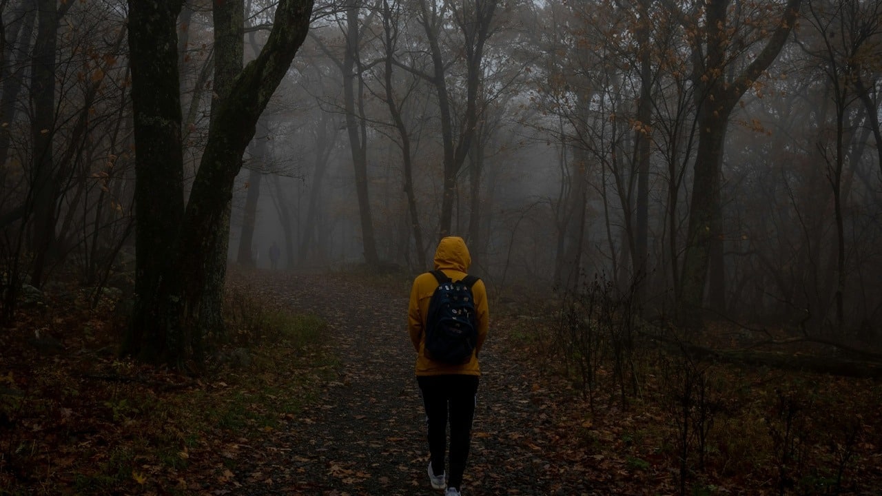 A man walking alone in a forest.