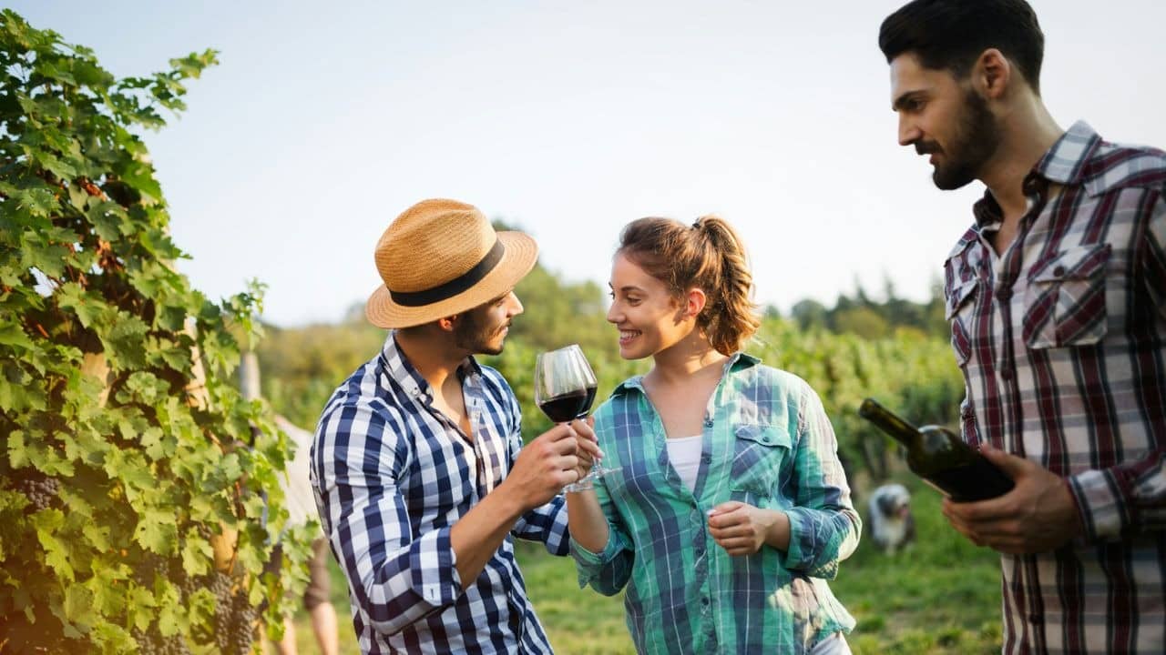 A man and woman smiles and clinks glasses of wine in a vineyard with a man standing nearby.