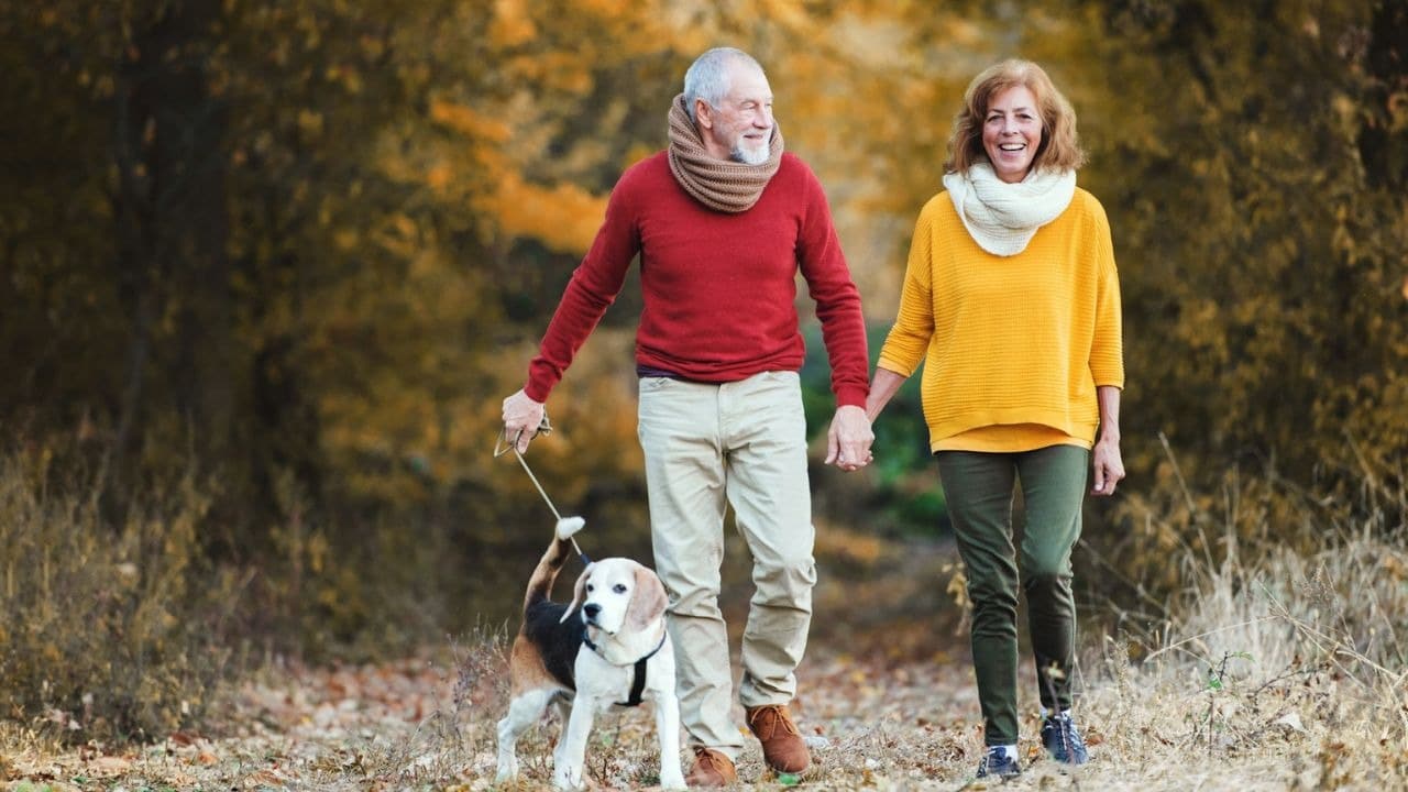 A smiling older couple holds hands while walking a beagle on a leash in an autumn setting.