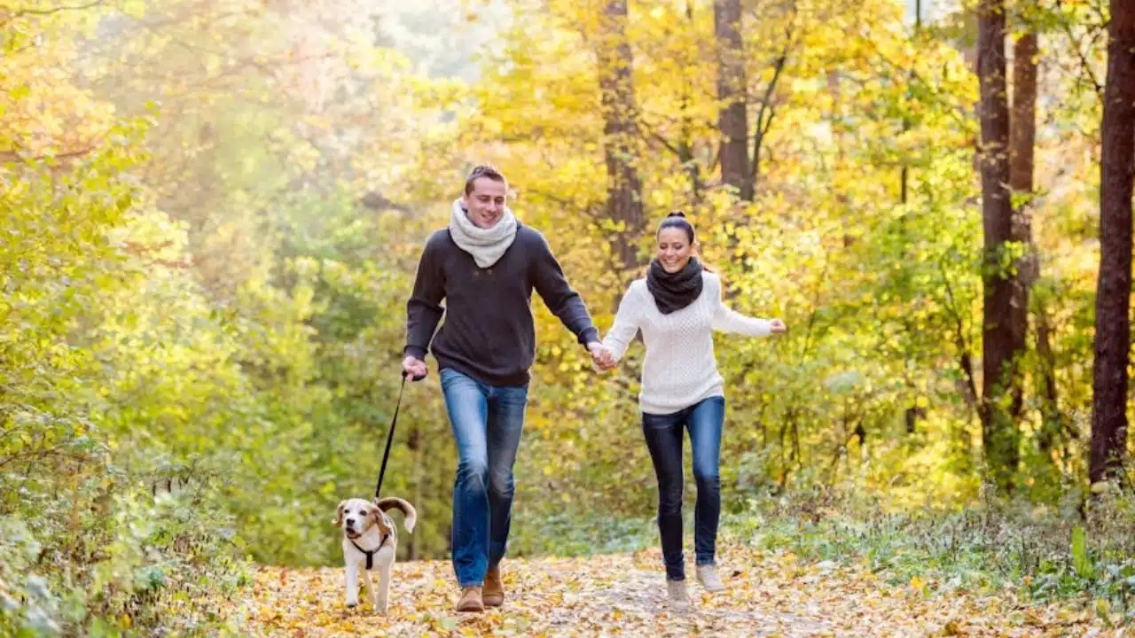 Couple walking slowly in autumn park