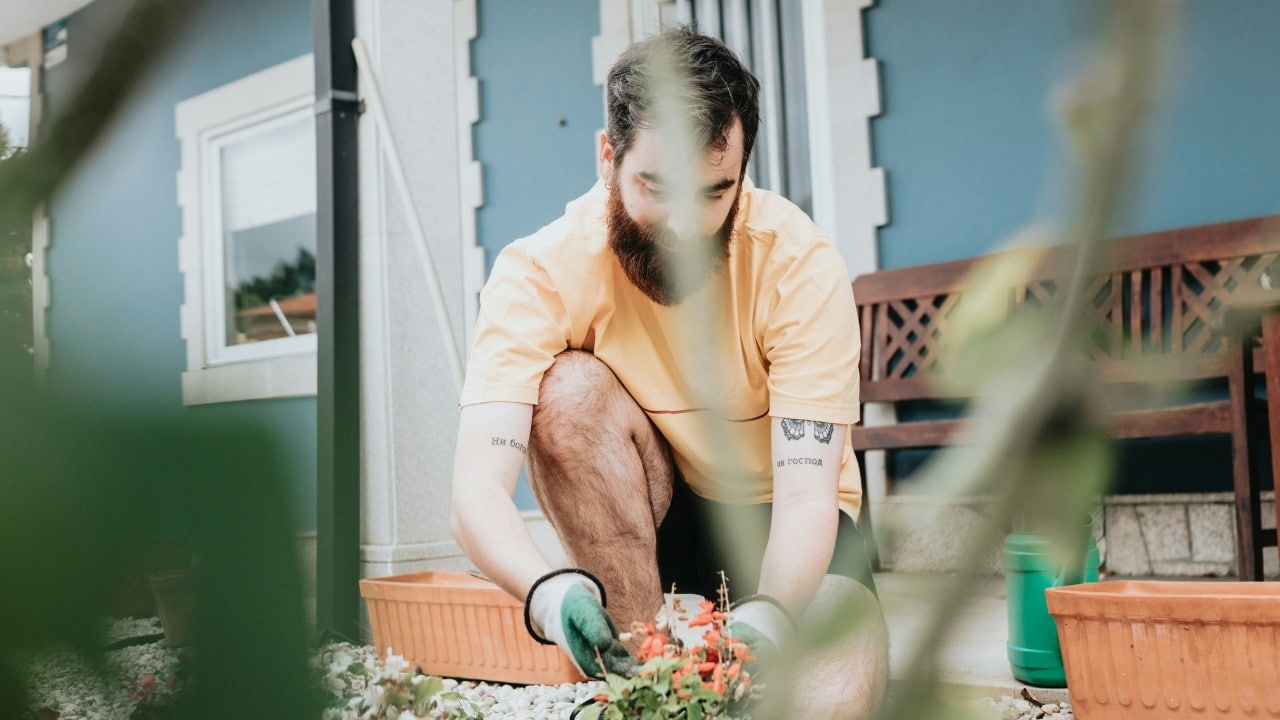 A bearded man in a yellow shirt and gloves plants flowers in a small garden bed.