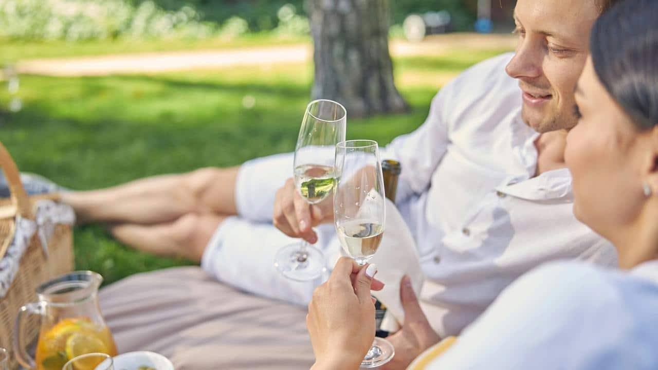 A couple toasting with champagne glasses during a picnic.