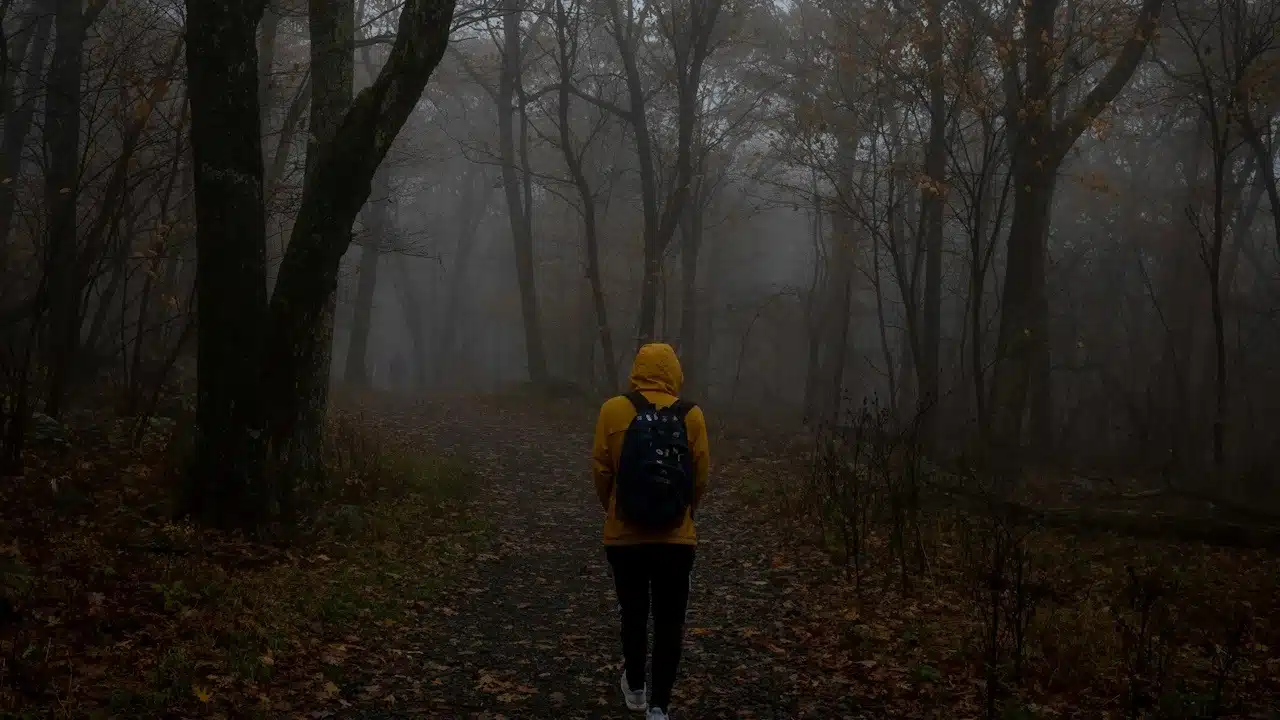 A man walking alone in a forest.